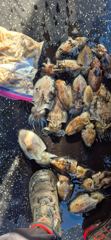 10월 2일.