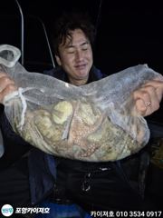 2일 야간 돌문어 조황입니다