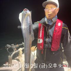 [통영] [ 갈치 텐빈 텐야 ] 먼바다 및 갈도권 조활