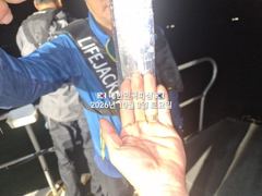 내만갈치~포인트 찾아 삼백리~~3지급~3.5지급 퍼담퍼담~예약가능