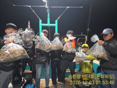 야간문어 조황 물때가 좋아 여기저기 히트 초보도 가득 일요일 오후 예약가능
