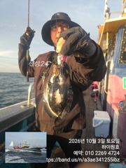 3일, 군산은 갑오징어 천국~나오고 있어요~실시간~군산낚시프라자 하이원호