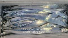 3지급 내만갈치 느나느나 조항 오늘 1자리 예약가능!!