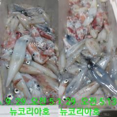 야호!!!내일 소수인원이라도 무조건 출항확정입니다 바다로갑시다 갈치잡자!!!