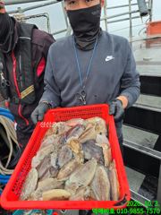 먹깨비호 갑오징어 굿조황