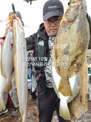 [군산] 9월30일,"대광어"날마다 초대박조황~200수 넘었다~ 참돔,…