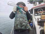 10월3일 홍원항 바로호 쭈꾸미 갑오징어 대박조황 입니다.