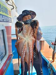 양양 낙산항 동해호