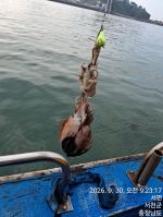 10월3일 쭈갑 전원 망탱이 조황