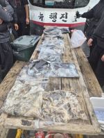 [뉴행진호] 26년 10월 3일 갑오징어 조황