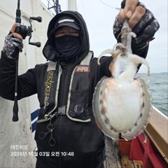 [서천,보령] 무창포 대진피싱 10월3일 쭈꾸미 조황입니다