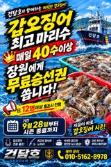 [사천] (건담호)3일 갑오징어 말이필요없는 조황^^ 담주쟈리여유