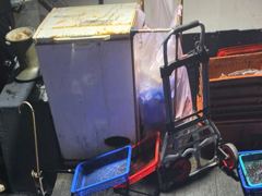 10월2일자 씨알좋은 무늬오징어 잡고 왔습니다