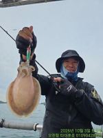 쭈꾸미·갑오징어조황 글만 보기