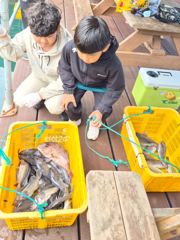 10월 3일~5일 조황입니다~^^