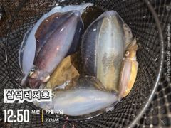 바람통,무늬들(오늘,좋은날씨,출항,확정,자리널널)