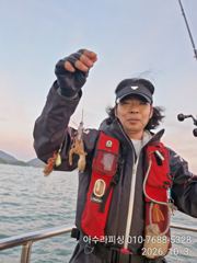 [사천] 삼천포 아수라피싱 주꾸미 조황