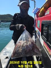 [고흥,녹동] 10/4일 주간 문어 조황입니다