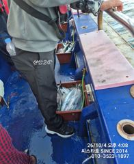 씨스타호 4일 오후 타임 바글바글 사진