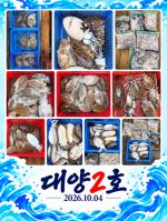 오이도 대양2호 조황사진(26.10.04)