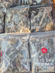4일 쭈꾸미오후반