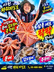 주꾸미 실시간 & 야간 돌문어 3일조황