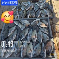 52분전 [사천] 삼천포 산분령 유료낚시터 10/4 조황입니다 :-)