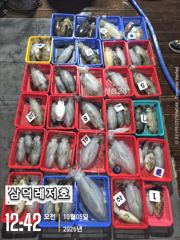 [팁런]1.3k.k. 완전무시들,"퍽퍽"마리수(화요일,출항)