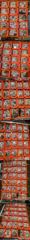 3일 무늬오징어] 마릿수 좋다 좋아 3자리수 총103수 (오늘 예약가능)