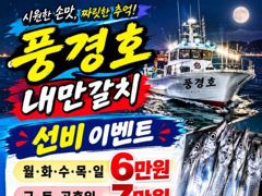 내만갈치)선비 이벤중. 내만에서 4지까지 사이즈 마릿수 굿!