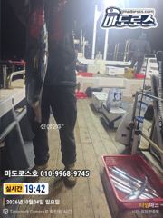 목금토 출항확정 !