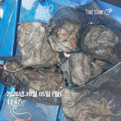 포항 종방) 제2대일호 10월 5일 조황