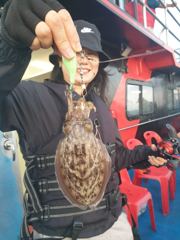 10월4일 쭈꾸미 갑오징어 조황