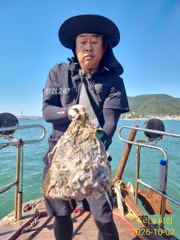쭈꾸미 쏟아져요 내일 쭈꾸미