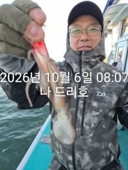 6일,군산 쭈꾸미랑,갑오징어랑~~나오네요~ 실시간~군산낚시프라자 나드리호