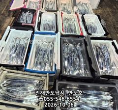 6일,내만갈치,담뱃갑 사이즈에 쿨러 빵빵하게,엄청 나옵니다,오늘출항(화,수~예약가능)