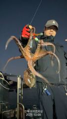 야간문어!덩어리급으로 잘 잡고 왔습니다.~내일예약가능