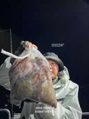 [사천] 10월 5일 야간 돌문어 조황!! 오늘 야간에도 출조 확정!!