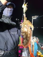[목포] 목포신세계피싱 야간갑오징어 잘나옵니다