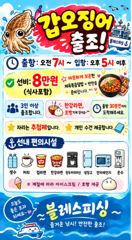 수목 갑오징어 출항확정! 자리많아요~^^