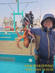 [진해] 문어 내만 문어 초보도 돌틈에서 들어뽕 1.5kg 최고 18수 …