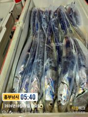 굶줄였던조사님들 10급 했네 역대최고조황