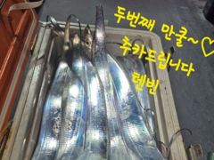 내만갈치 사이즈 마리수 굿굿!!! 100수 이상 낚낚GOGO~
