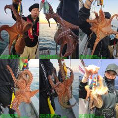 [사천] 8일)문어출조 합니다. 씨알.마리수 굿~~좋습니다.