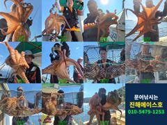 [진해] 문어 1500 1300외 구석구석 여밭 공략, 키로급 대물에 마…