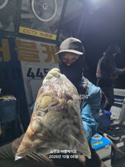 [사천] 삼천포 주꾸미,문어조황! 주간반 야간반 매일출조!