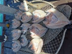 2026년 10월 7일 해맞이좌대