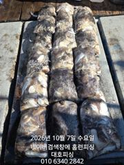 대호피싱 7일 쭈꾸미 마무리 소식 전합니다