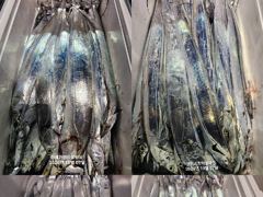 [진해] [7일입항] "내만갈치" 씨알이가 므찌네요!! 4지까지 올라왔어…