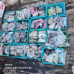 무창포 대진피싱 10월7일 쭈꾸미 조황입니다~